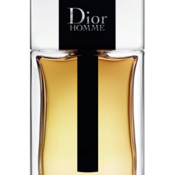 Christian Dior - Homme (2020) Man A+