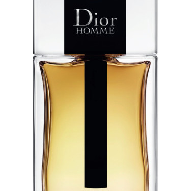 Christian Dior - Homme (2020) Man A+