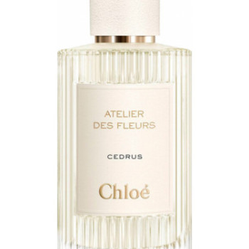 Chloe - Cedrus for Unisex
