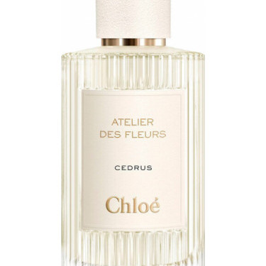 Chloe - Cedrus for Unisex