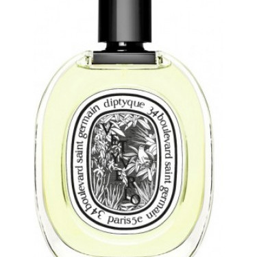 Inspired Vetiver Soul for Unisex Perfume Dupe