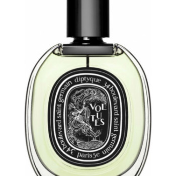 Velvet Voyage for Unisex - A+