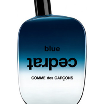 Comme des Garcons - Blue Cedrat for Unisex - A+