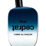 Comme des Garcons - Blue Cedrat for Unisex - A+