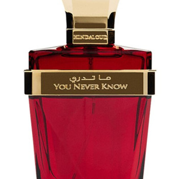 Hind Al Oud - You Never Know for Unisex A++