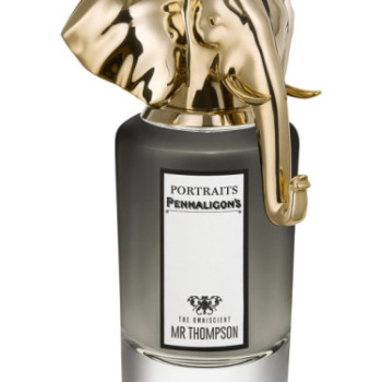 Omniscient Thompson For Men A+