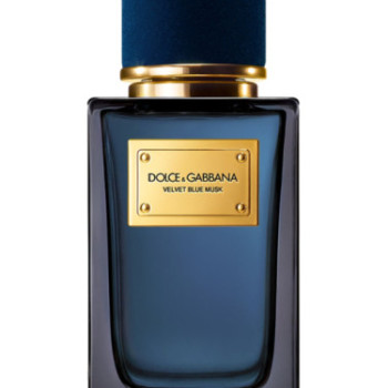 Dolce&Gabbana - Velvet Blue Musk for Unisex