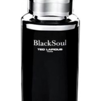 Ted Lapidus perfumes - Black Soul for Man