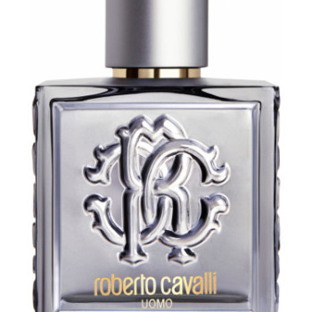 Roberto Cavalli - Uomo Silver Essence for Man