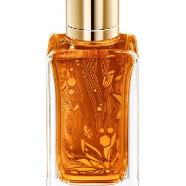 Lancome - Oud Ambroisie for Unisex by Lancome