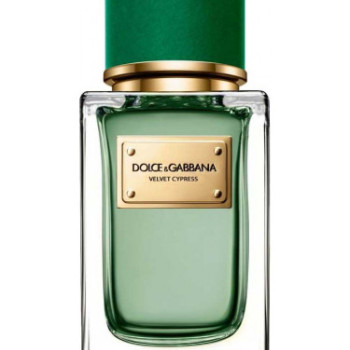 Dolce & Gabbana - Velvet Cypress for Unisex