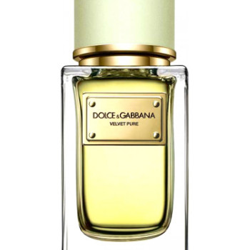 Dolce & Gabbana - Velvet Pure for Women