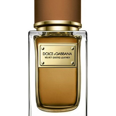 Dolce & Gabbana - Velvet Exotic Leather for Unisex by Dolce & Gabbana