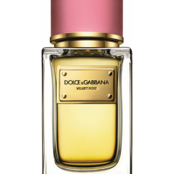 Dolce & Gabbana - Velvet Rose for Women