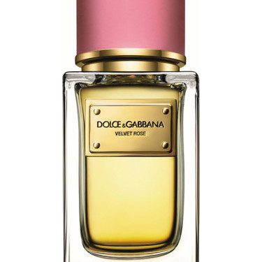 Dolce & Gabbana - Velvet Rose for Women by Dolce & Gabbana