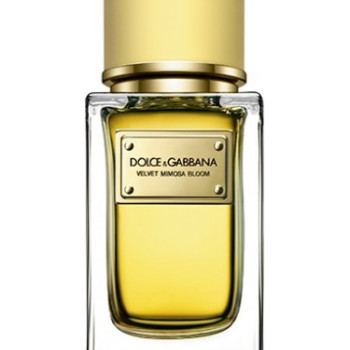 Dolce & Gabbana - Velvet Mimose Bloom for Women