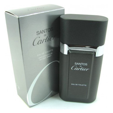 Cartier - Santos men