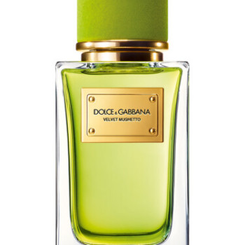 Dolce & Gabbana - Velvet Mughetto for Unisex - A+