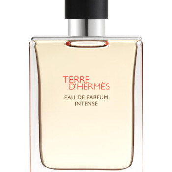 Hermès - Terre d’Hermès Intense for Man A+