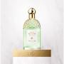 Guerlain - Aqua Allegoria Rosa Verde for Unisex - A+